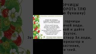 ПОЛЕЗНЫЕ ЗАМЕТКИ ОГОРОДНИКА