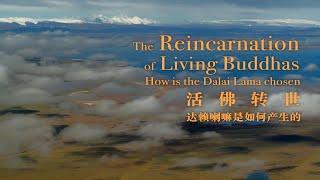 The Reincarnation of Living Buddhas: How is the Dalai Lama chosen