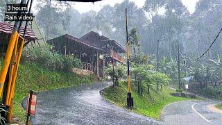 Rain in a beautiful and cool village||Indonesian rural atmosphere||suitable for insomnia