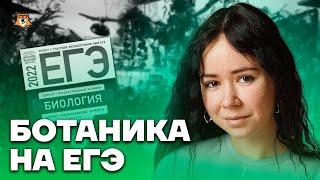 Вся ботаника для ЕГЭ | Биология ЕГЭ 2023 | Умскул