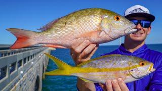 Caught EXPEN$IVE Fish on Side of Road! Catch Clean Cook (Florida Keys Bridge Fishing)