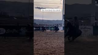 Olha a laçada do Peseiro no final #shorts #teamroping #nacurvaenaborracha