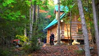 First Autumn at the Cabin with Family! / Ep118 / Outsider Cabin Build