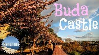 TRAVEL BUDAPEST HUNGARY | BUDA CASTLE CITY GUIDE