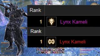 FFXIV: Advanced Tanking Guide From a Rank 1 Tank