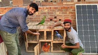 My New Birds Cage Setup  Zeeshan Faryad