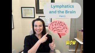 Brain Lymphatics - Part 1