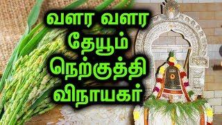 நெற்கதிர்களை அரிசியாக்கும் அதிசய நெற்குத்தி விநாயகர்  | VILLUPURAM NERKUTHI VINAYAGAR #VINAYAGAR