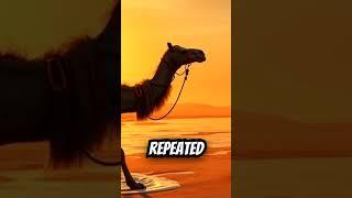 CAMEL AND RABBIT JOURNEY #rabbit #cuteanimals #animation #animalrescue