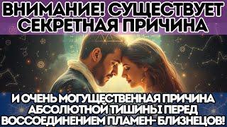 ВНИМАНИЕ!Существует СЕКРЕТНАЯ и очень мощная причина абсолютной тишины перед воссоединением Пламен