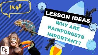 Why are rainforests important?