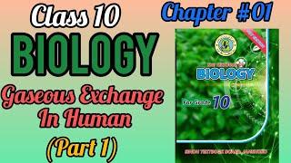 Gaseous Exchange In Human -10 Biology -Chapter #01 -Complete Explanation of Lungs (part-1)