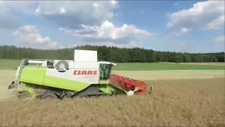 Mähdrusch 2018 mit Claas Lexion 480