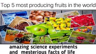 top 5 most producing fruits in the world 2023 | amazing science experiments