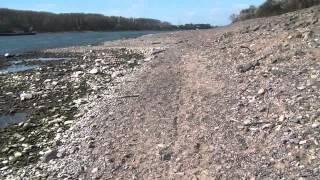 Gehen über Stock und Stein am Rhein ist fein. INGO F.FILM 2012.