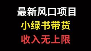 网上怎么赚钱？做小绿书带货吧，收入无上限！