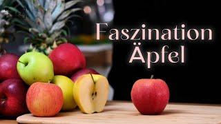 Faszination Äpfel | Wusstest du es? | Top Obst | Top A-Z | 4K