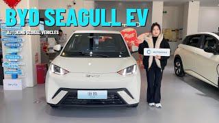 2025 BYD SEAGULL EV FOR SALE || AUTOKING GLOBAL VEHICLES