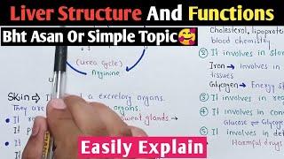 Liver Structure And Functions | Urea Cycle | Class 12 Biology