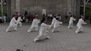Chen Style Tai Chi 35 Forms - 2017 World Tai Chi Day - NYC Central Park