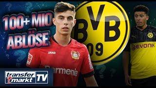 Dortmund bereit dreistellige Mio-Ablöse für Havertz zu zahlen | TRANSFERMARKT