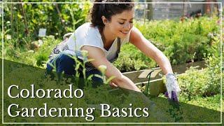 Colorado Gardening Basics | Gardening in Colorado | How to Grow a Garden | Gardening Tips