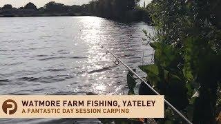 Beginners Carp Fishing at Watmore Farm Carp Fishery, Yateley