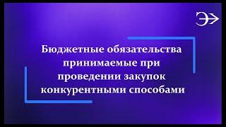 Парус - Бюджет 10. Бюджетное обязательство принимаемое при проведении закупок конкурентным способам