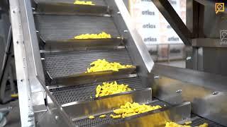 Nik Naks Chips Production Line -2022 - (Oven - Fryer )