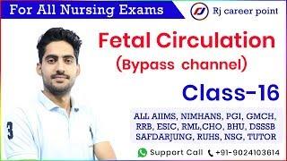 Fetal Circulation  bypass  channel|Nursing Officer & staff nurse|rajesh sir |rj career point