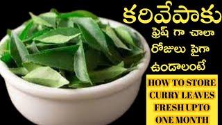 కరివేపాకు చాలా రోజులు  ఫ్రెష్ గా ఉండాలంటే! How to store Curry Leaves Fresh for 1 month! Kitchen tips