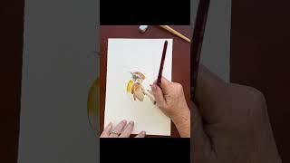 Time-lapse watercolor painting of charming Carolina wren bird