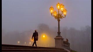 Alone in Oslo. Quiet city life with a dog / Silent vlog / Oslo main library / Akershus fortress