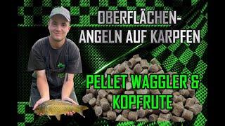 Oberflächenangeln auf Karpfen mit dem Pellet Waggler und der Kopfrute