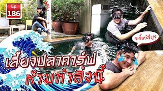 KoI do it and the fish dies -  เพิ่อนรักสัตว์เอ๊ย EP186