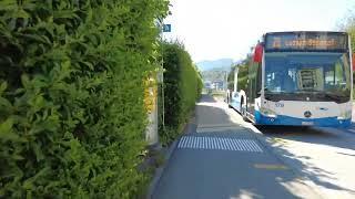 Lucerne, Switzerland - walking tour in a sunny day | CH | Switzerland 2024