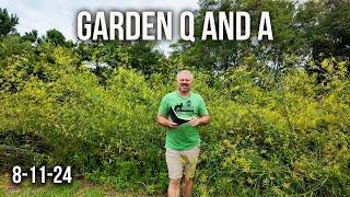 Really Great Garden Questions Answered - Lantana Problems, Garden Plants Channel, Rain from Debby