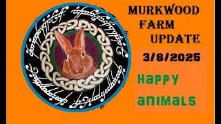 MURKWOOD UPDATE 3/8/2025 happy animals