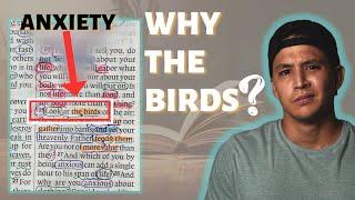 THIS Is Why Jesus Uses Birds To Address Anxiety | Beginner's Bible Study In Matthew 6