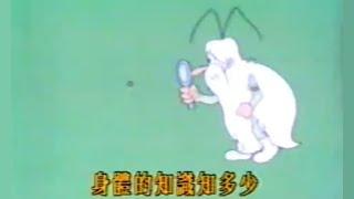 我的身體知多少 - 唱：葉其美 - 無綫動畫版 OP (1988)