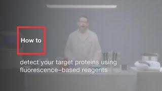 How to detect your target proteins using fluorescence-based reagents