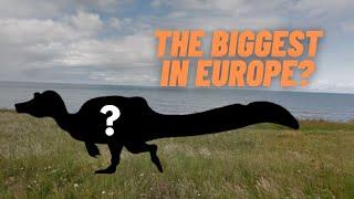 The Biggest Predator In Europe Was A Spinosaurid?