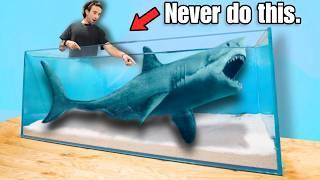 Buying the Scariest Shark I've Ever Owned Off The Web...