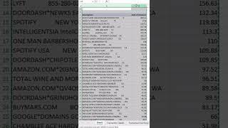 Excel pivot table credit card statement analysis
