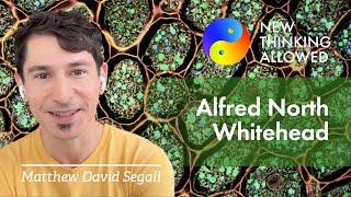 Understanding Alfred North Whitehead with Matthew David Segall