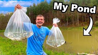 Stocking 3,500 Fish into My Pond!