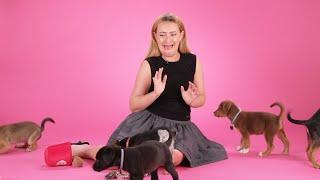 Amelia Dimoldenberg: The Puppy Interview