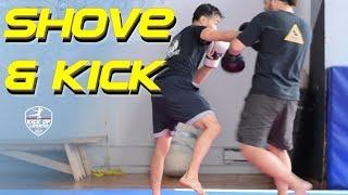 Pad Drills Pro Trainer Kick & Push round