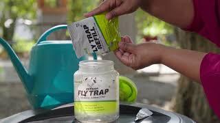 Reusable Fly Trap How To Dispose and Reuse