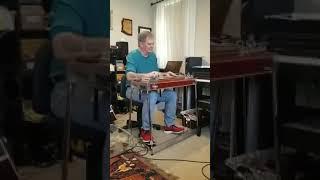 Bill Bassett Pedal Steel Guitar Last Train Home using SITAR bar